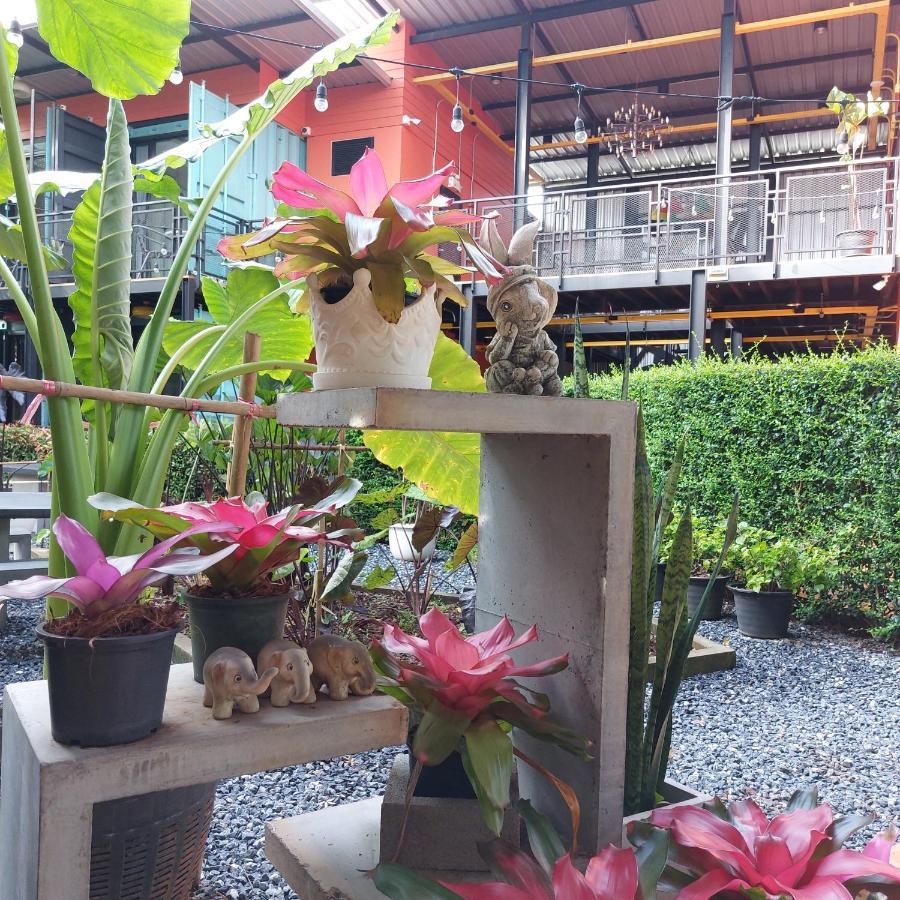 Kipbox Hotel Trang Eksteriør bilde