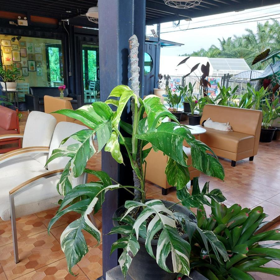 Kipbox Hotel Trang Eksteriør bilde